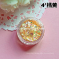 wholesale 12color 3 grams of shell glitter in the bottle